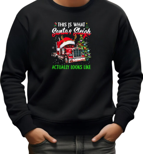 This Is What Santa's Sleigh Actually Looks Like Funny Christmas Trucker T-Shirt Unisex Sweatshirt