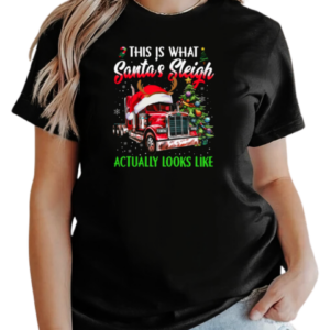 This Is What Santa's Sleigh Actually Looks T-Shirt Classic Women's T-shirt