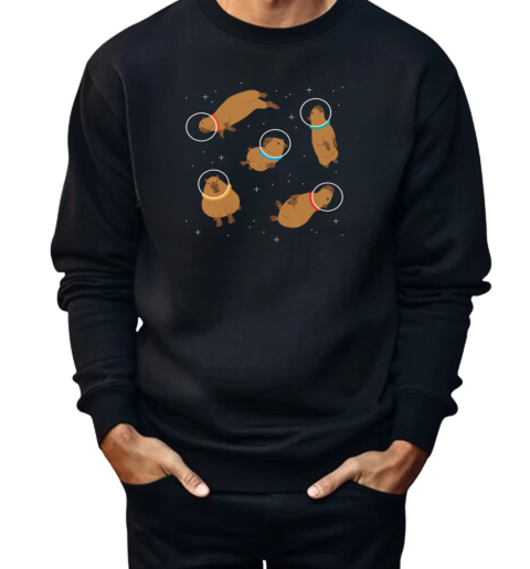 Capybaras In Space  Unisex Sweatshirt