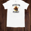 Justice For Peanut 2024  Classic Men's T-shirt