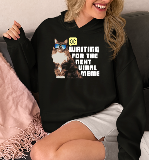 Waiting For The Next Viral Meme  Unisex Hoodie