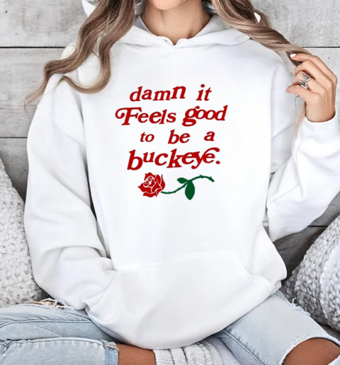 Endless Block Damn It Feels Good To Be A Buckeye T-Shirt Unisex Hoodie