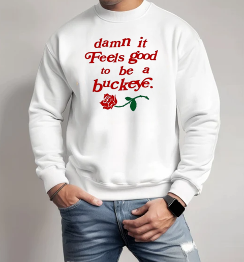 Endless Block Damn It Feels Good To Be A Buckeye T-Shirt Unisex Sweatshirt