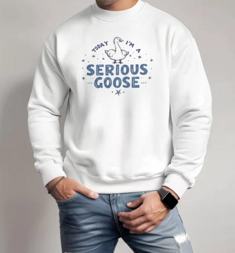 Funny Today I'm A Serious Goose Jester Goose T-Shirt Unisex Sweatshirt