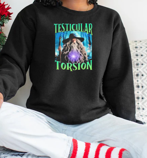 Testicular Torsion Wizard T-Shirt Unisex Sweatshirt