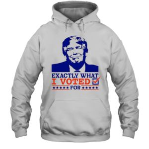 Exactly What I Voted For T-Shirt Unisex Hoodie