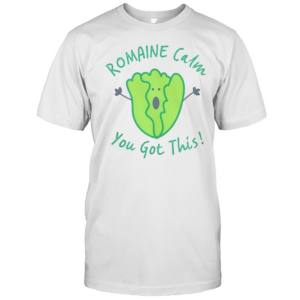 Nice Teacher Testing Romaine Calm You Got This Proctor Staar T-Shirt Nice Teacher Testing Romaine Calm You Got This Proctor Staar T-Shirt
