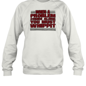When A Problem Comes Along You Must Whip It T-Shirt Unisex Sweatshirt