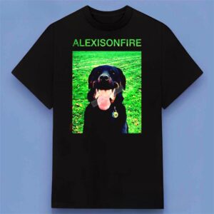 Alexisonfire Band Music Shirt