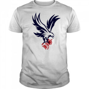 Crystal Palace F.C. Cup winner 2025 shirt