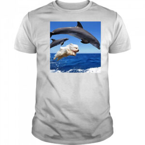 Dog jump with dolphin shirt