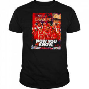 Indiana Fever 2025 WNBA Commissioner’s Cup Champs now you know shirt