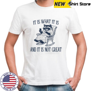 Raccoon it is what it is and it is not great shirt