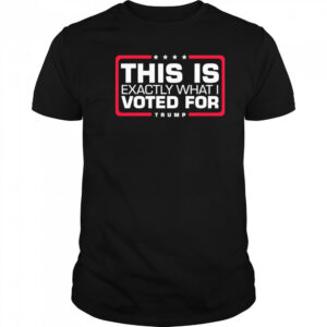 This is exactly what i voted for Trump shirt