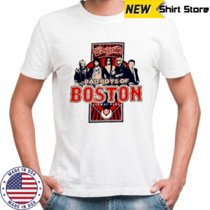 Aerosmith 2010 Fenway Park Boston Tour shirt