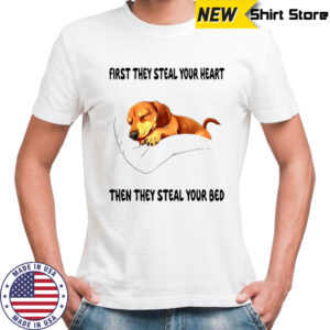 Dachshund sleep first they steal your heart then they steal your bed shirt