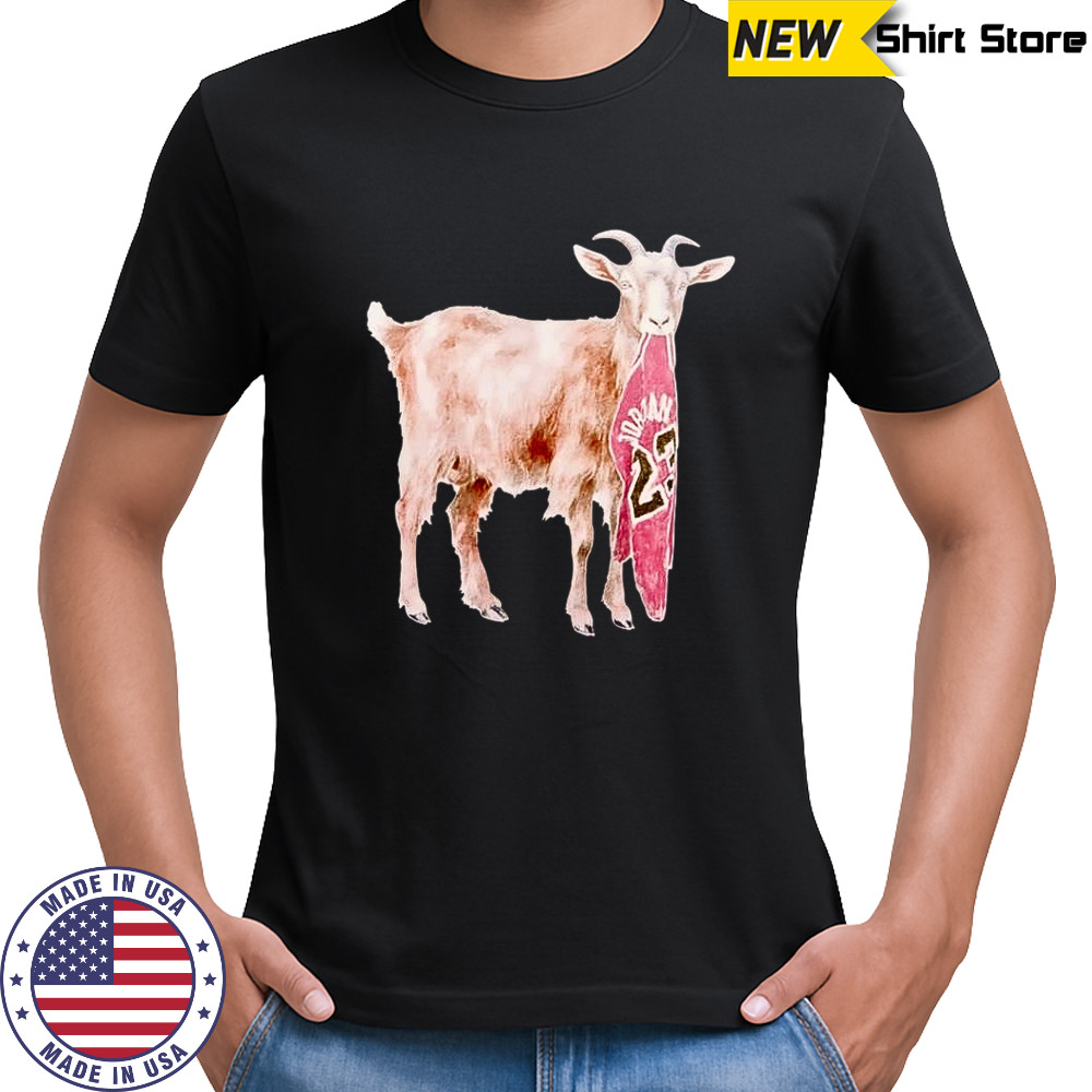 Jordan Brand GOAT Jersey shirt
