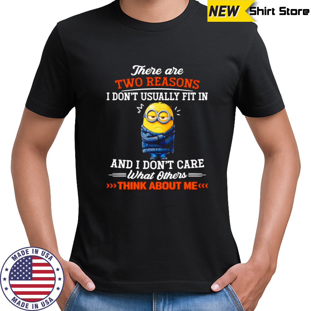 Minion there are two reasons I don’t usually fit in and I don’t care what others think about me shirt