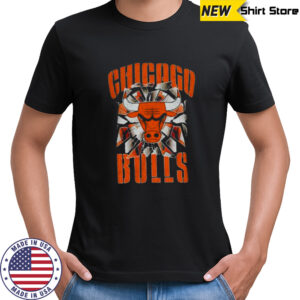 Pro Standard Bulls Shattered Backboard T Shirt
