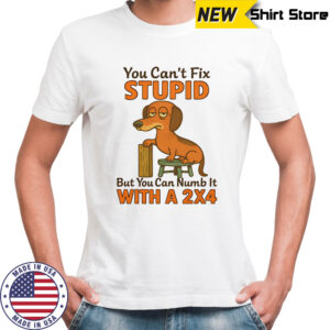 Dachshund you can’t fix stupid but you can numb it with a 2×4 shirt