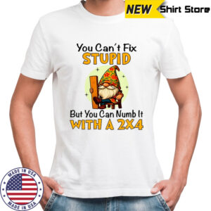Gnome you can’t fix stupid but you can numb it with a 2×4 shirt