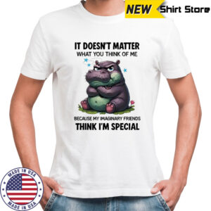 Grumpy Hippo it doesn’t matter what you think of me because my imaginary friends think I’m special shirt