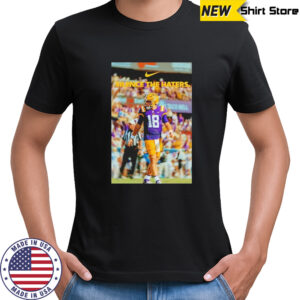 LSU Tigers silence the haters shirt