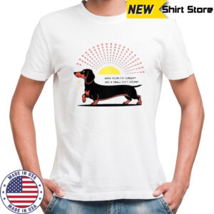 Dachshund Dog Make Room For Sunlight And A Small Dog’s Dreams T-Shirt
